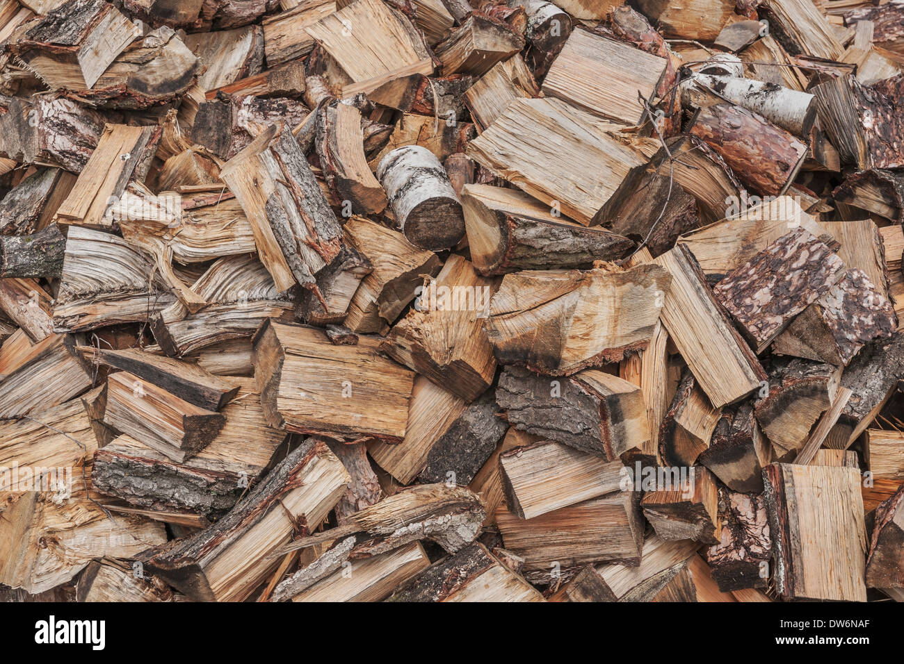 Many pieces of firewood on a heap. Stock Photo