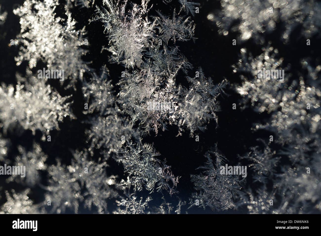 Hoarfrost outdoors on glass snow crystallized ice in winter Stock Photo