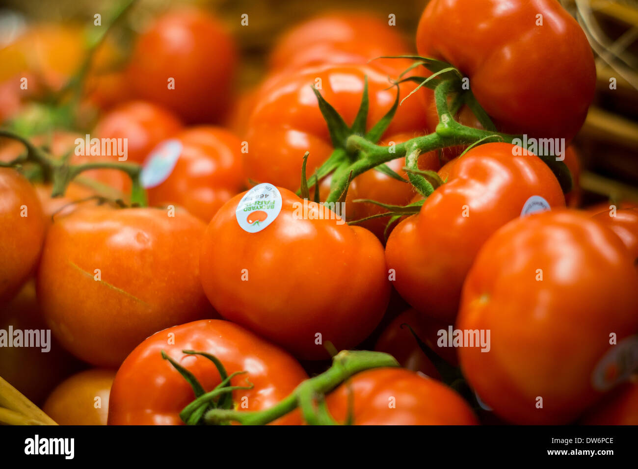 Tomatoes on the vine are seen in a supermarket in New York Stock Photo ...