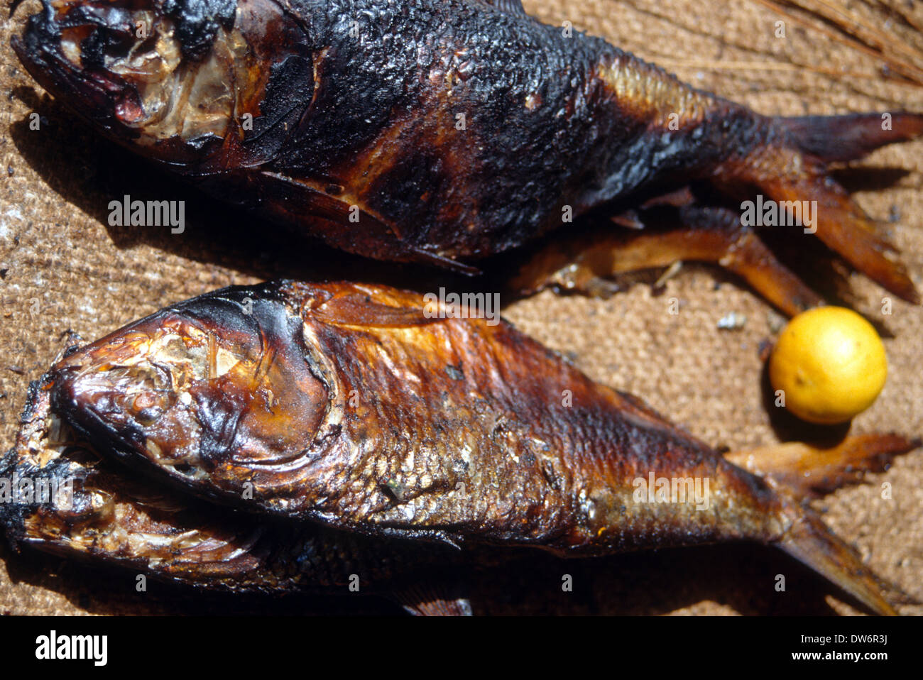 African Food: smoked fish in a West African market Stock Photo