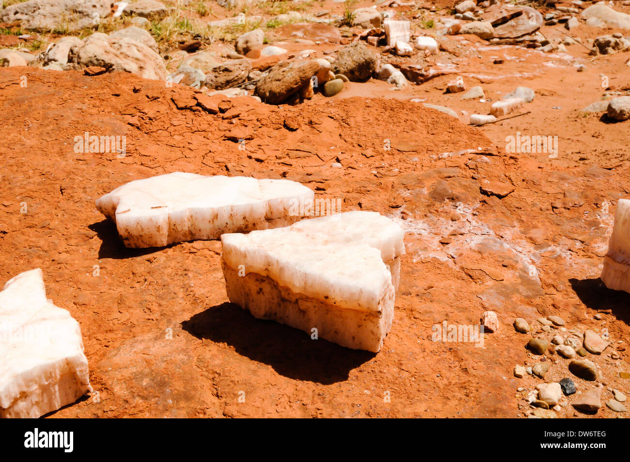 Close up of a piece of white quartz on red orange soil in Caprock