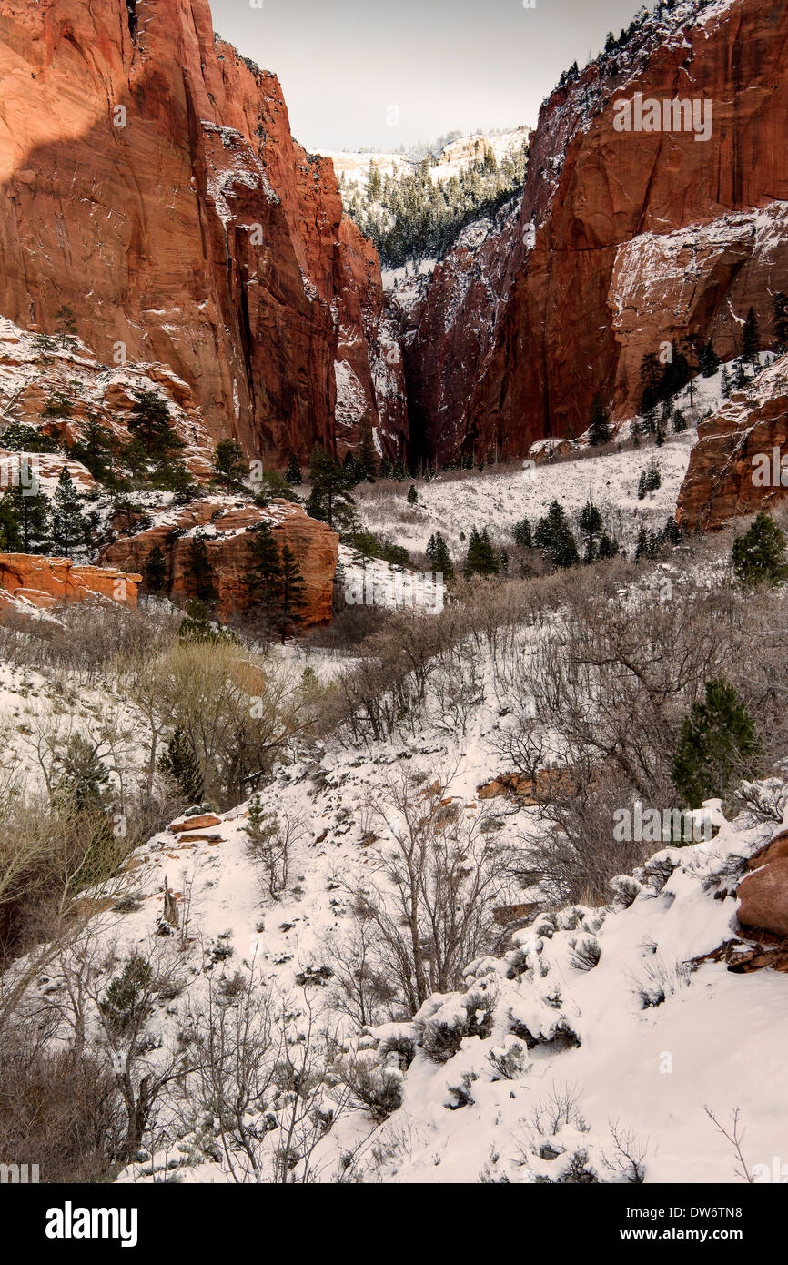 Finger Canyons of the Kolab, Zion National Park, Utah Stock Photo Alamy