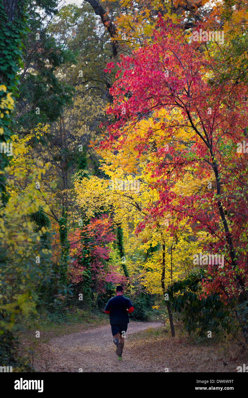 Fall colors explode in Bidwell Park in Chico, California Stock Photo ...