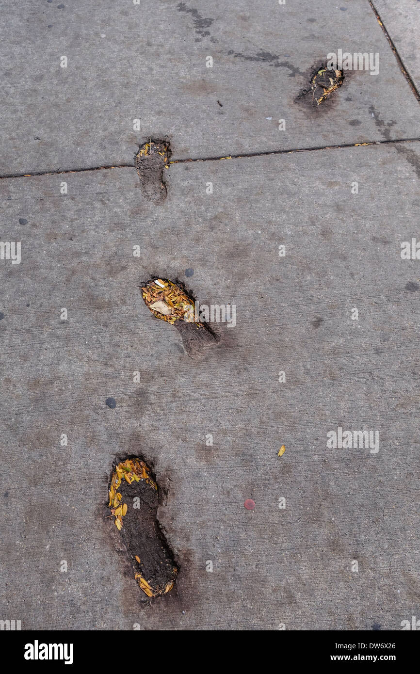 Leaves in footprints imprinted in a sidewalk in Chicago, Illinois Stock