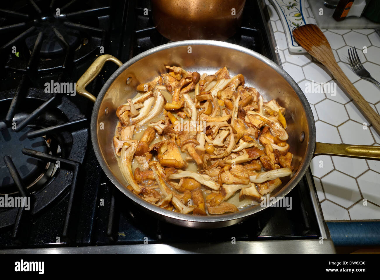 Frying pan of chanterelle mushrooms cooking on a gas range. Stock Photo