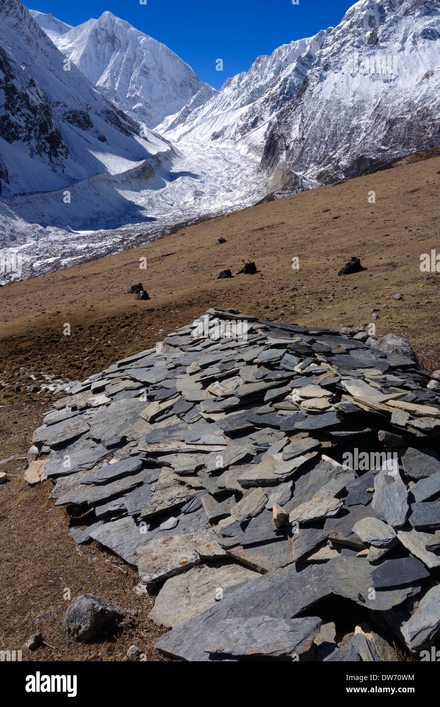Yaks and yak herder huts below Manaslu North peak, Himalaya range, Nepal. Stock Photo
