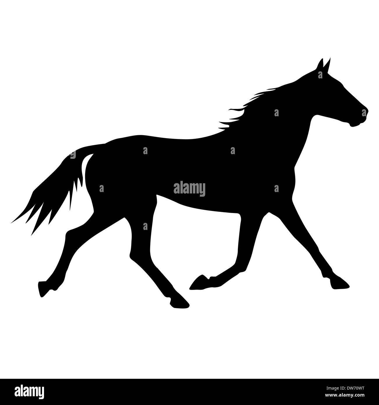 vector silhouette of horse Stock Photo - Alamy