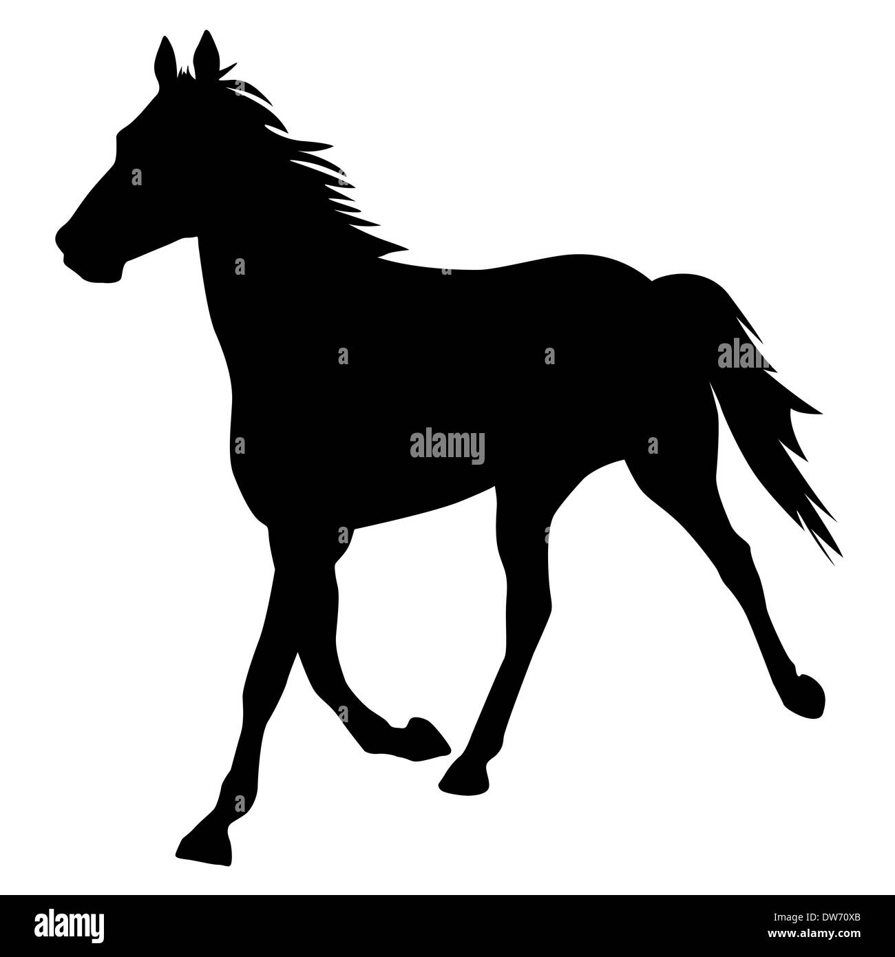 vector silhouette of horse Stock Photo - Alamy