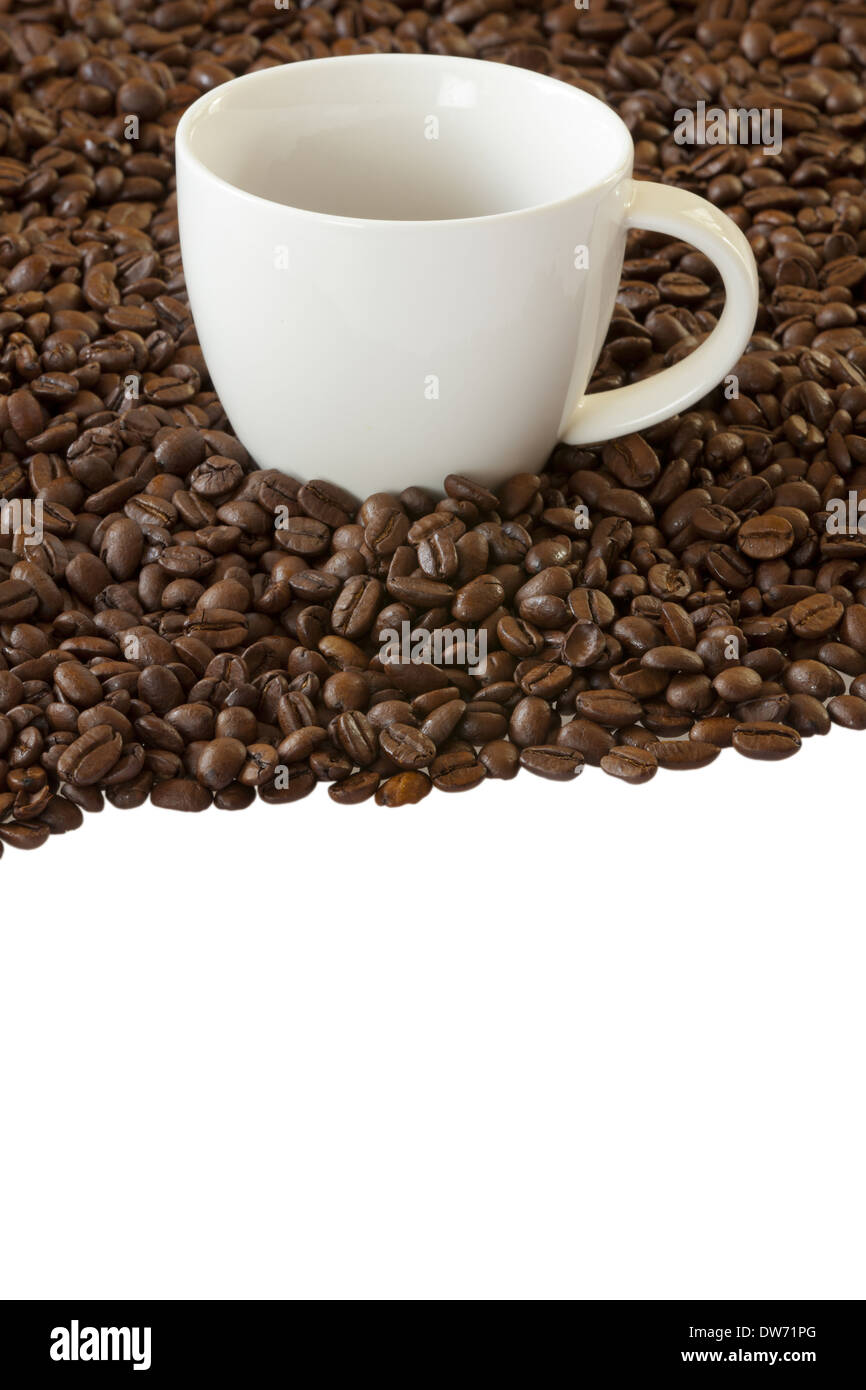 White Coffee cup standing between many coffee beans Stock Photo