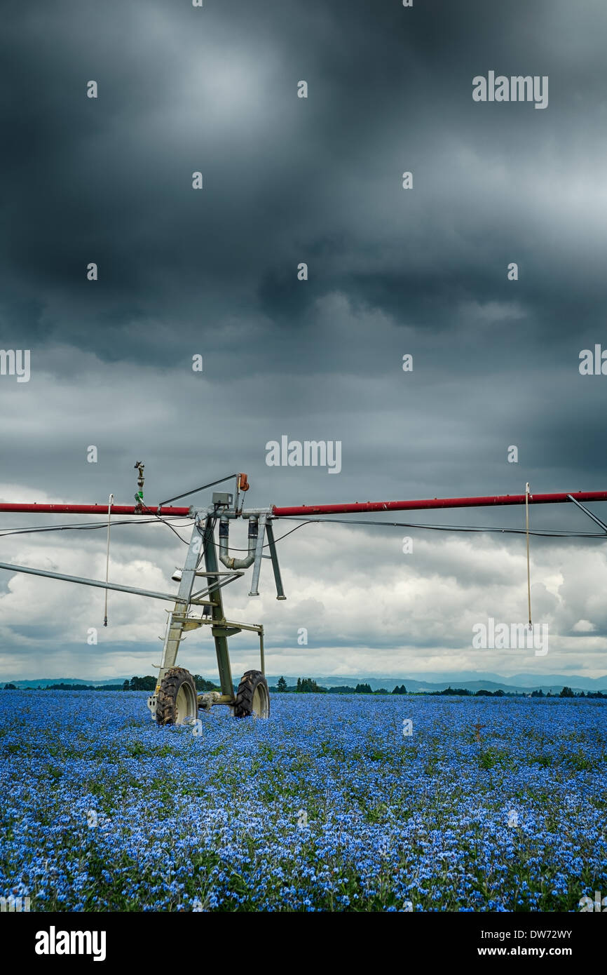 Moody sky over a field with an agriculture sprinkler in Mount Angel, Oregon Stock Photo