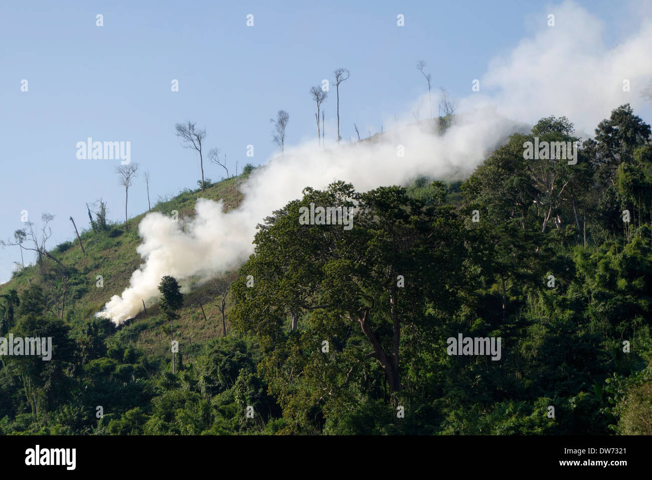 Burning a slope above the Mekong River in Laos. Stock Photo