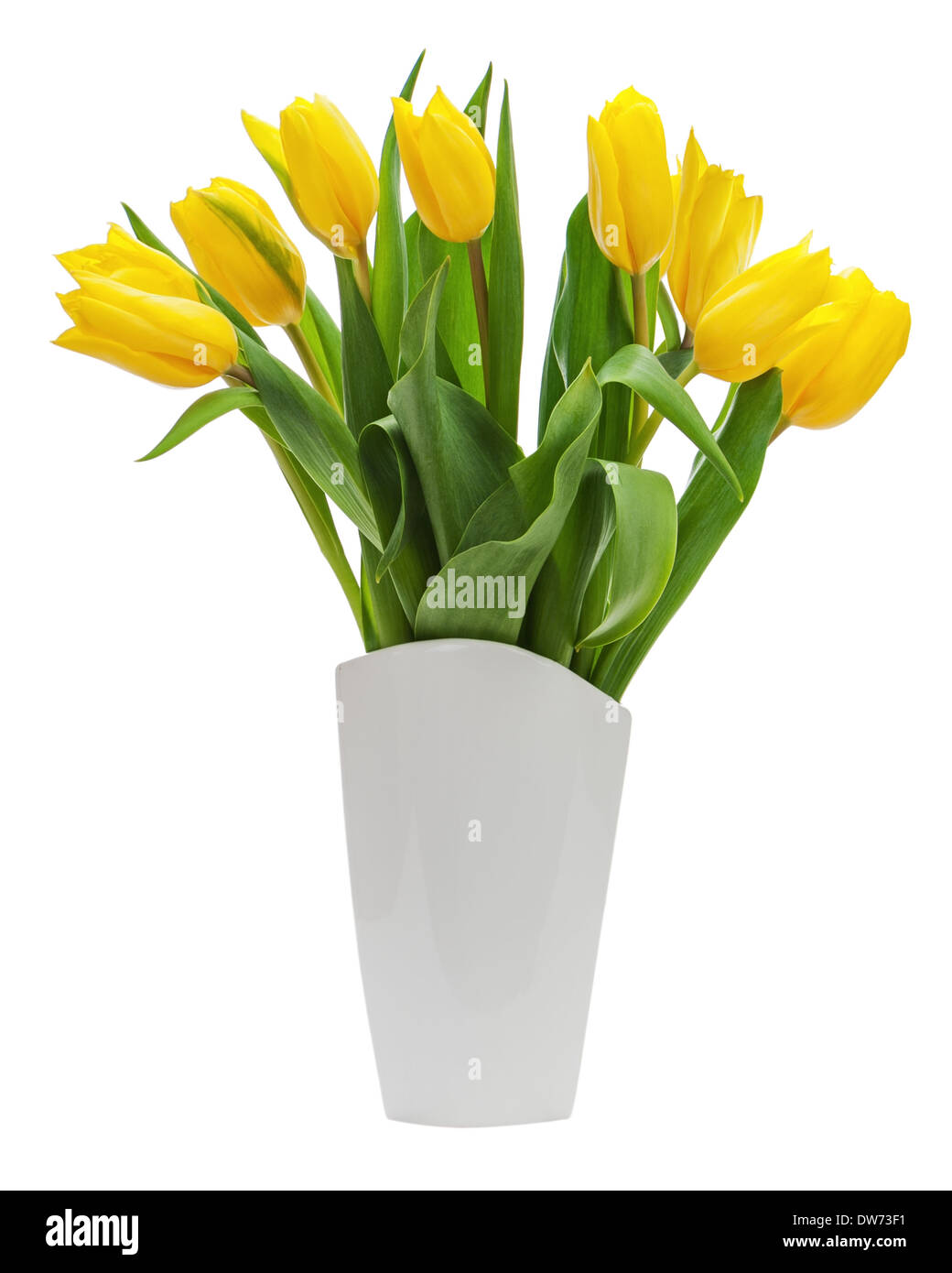 Flower bouquet from yellow tulips in vase isolated on white background ...