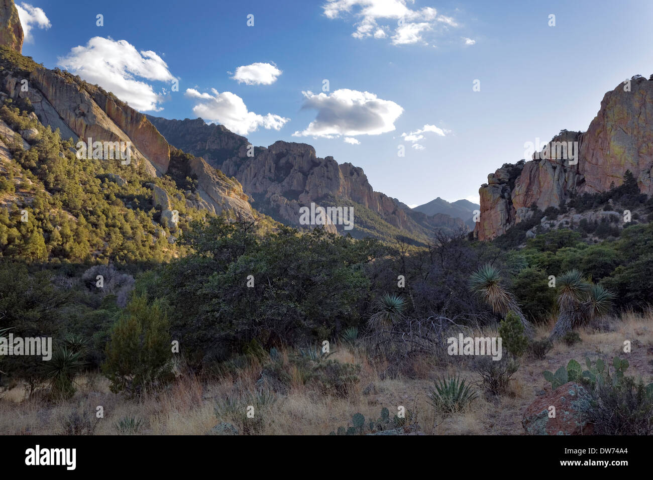 Chiricahua Mountains, Portal, Arizona Stock Photo