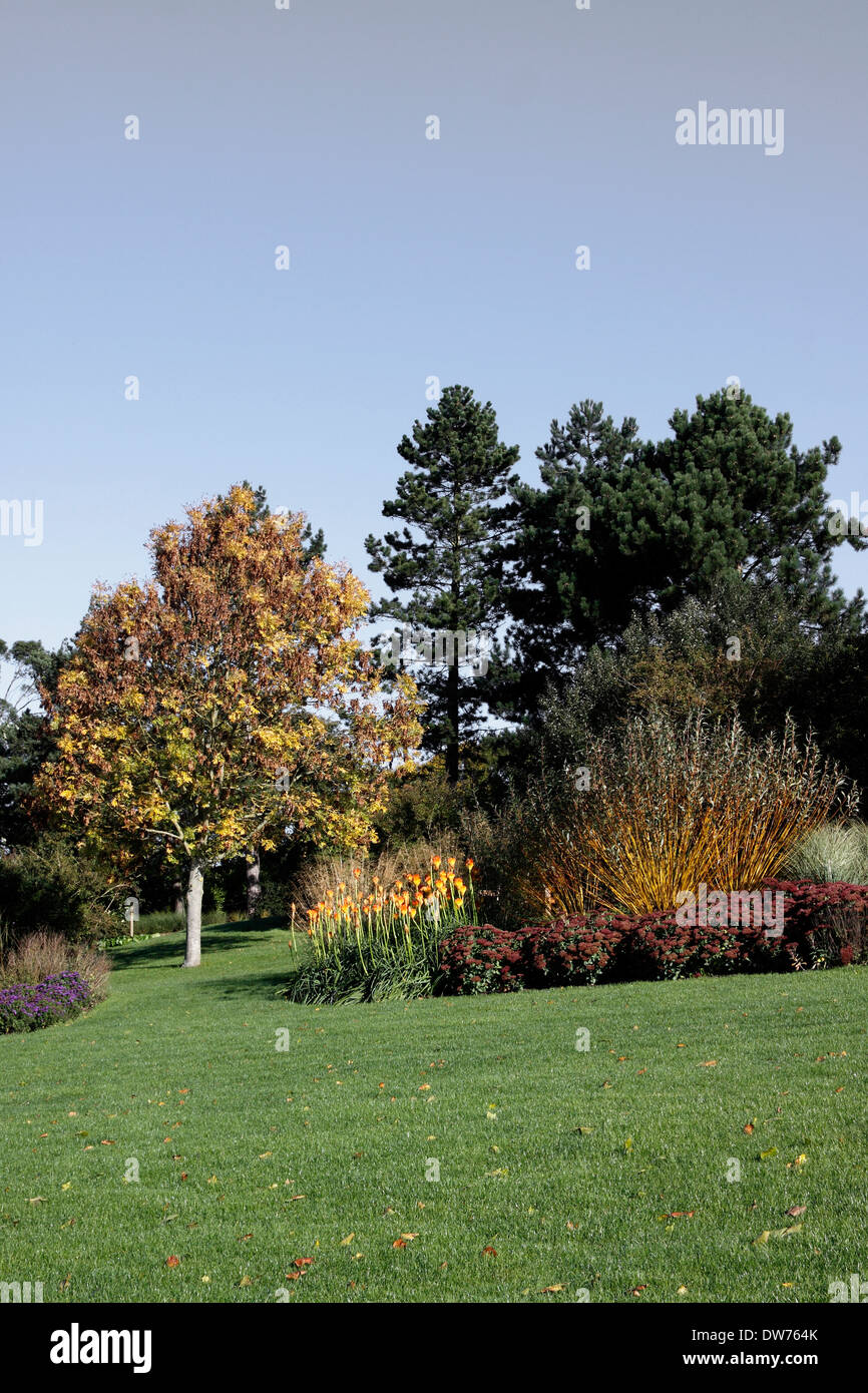 AUTUMN SHRUBBERY AND BORDER AT RHS HYDE HALL. ESSEX UK. Stock Photo
