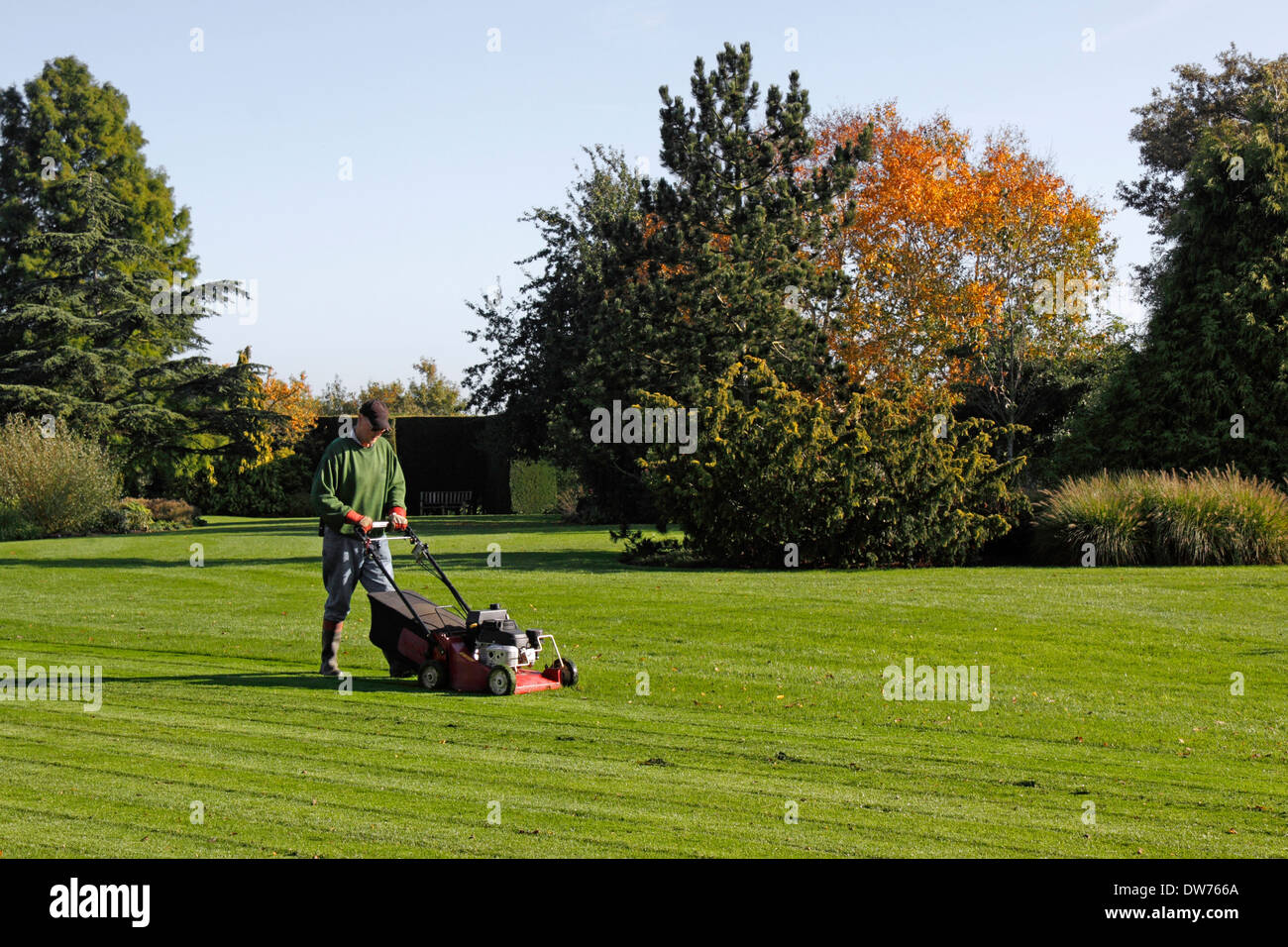 Mowing lawn cut grass hi-res stock photography and images - Alamy