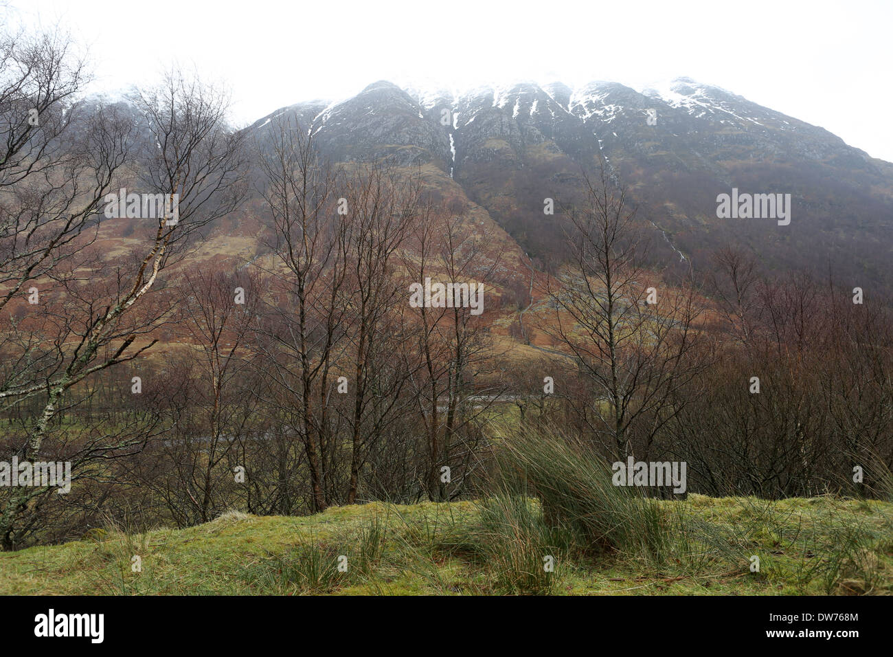 Glen Nevis Highlands Scotland UK Stock Photo Alamy