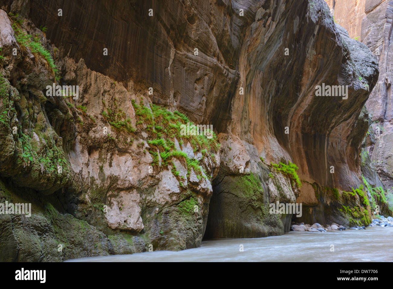Narrows Zion National Park Hi Res Stock Photography And Images Alamy