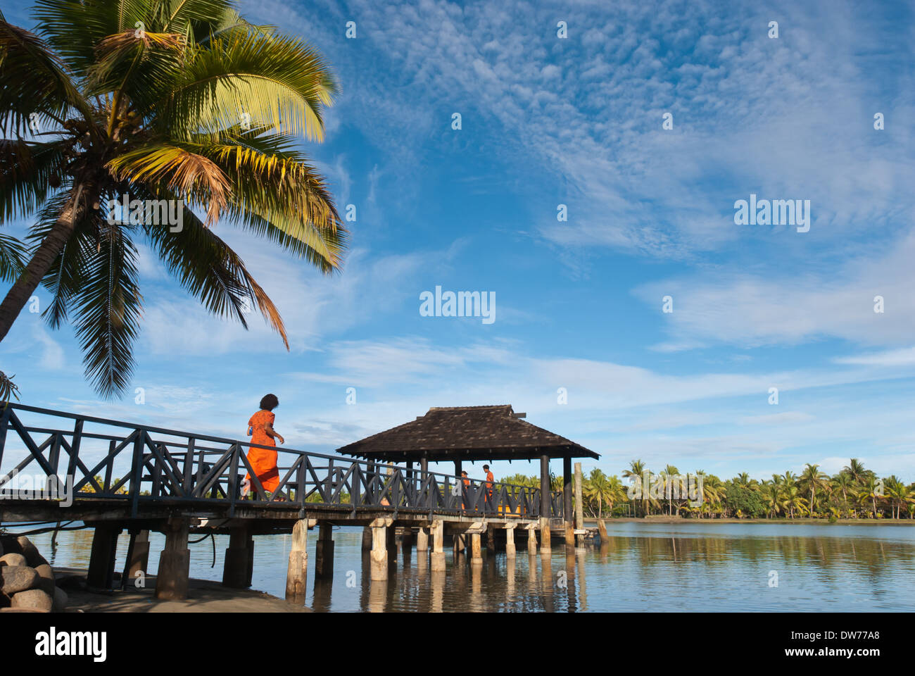 A jetty near and palm tree near Sonaisali Island Resort on the west coast of Viti Levu, Fiji's main island. Stock Photo