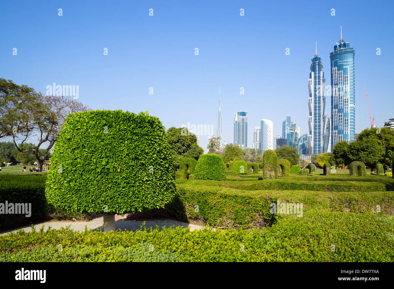 Maze garden and skyline of city in Al Safa Park in Dubai United Arab Emirates Stock Photo