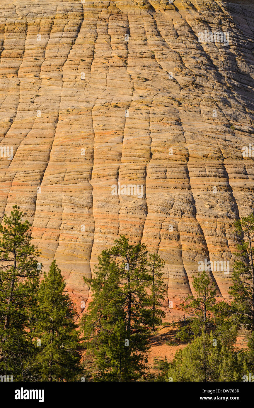 Checkerboard formation hi-res stock photography and images - Alamy