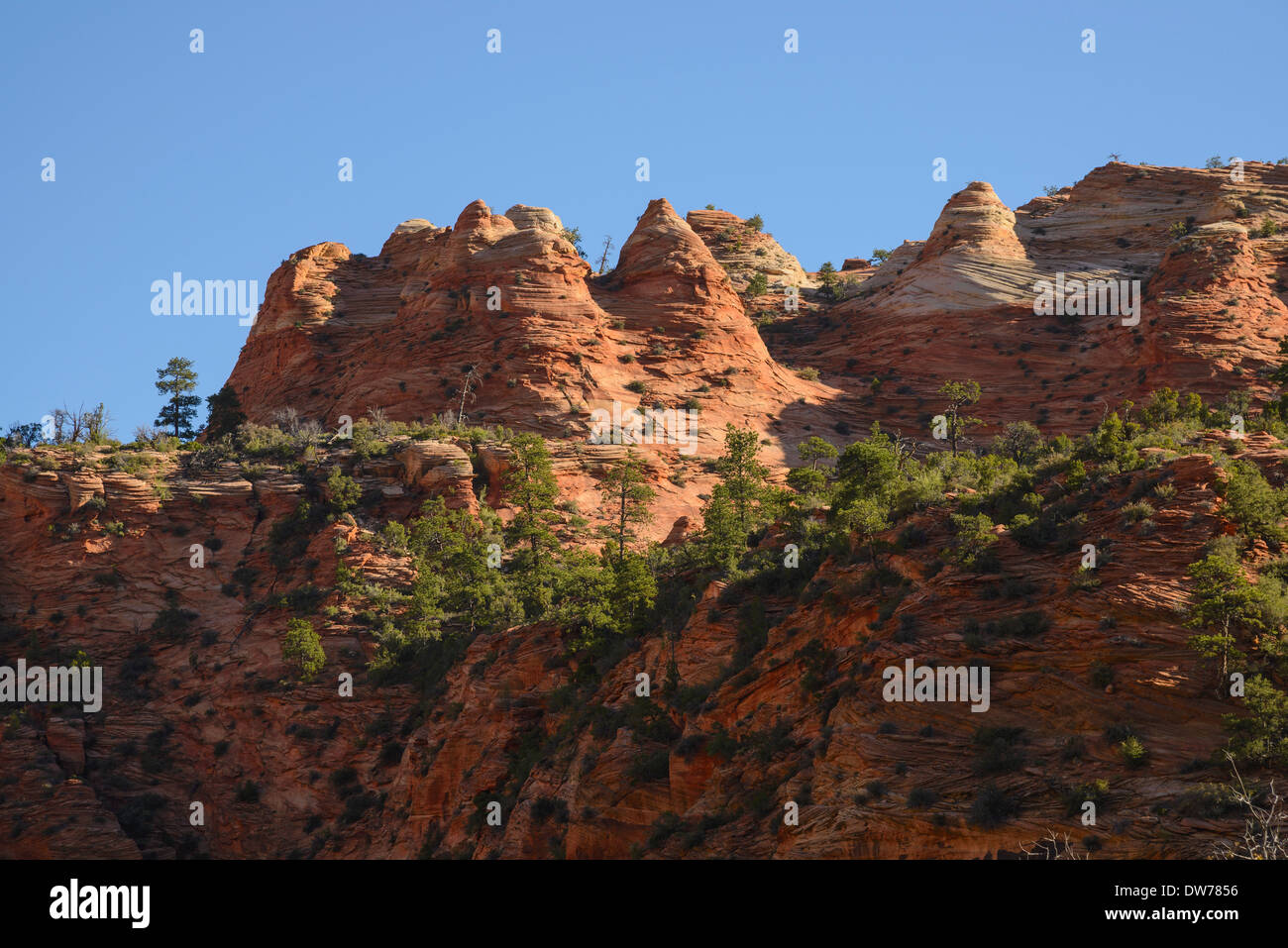 Zion Plateau, Eastern section of Zion National Park, Utah, USA Stock Photo