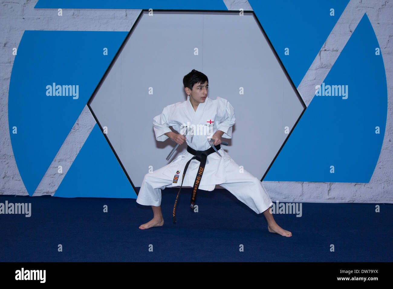 Martial Arts display at the photography show at the NEC in Birmingham