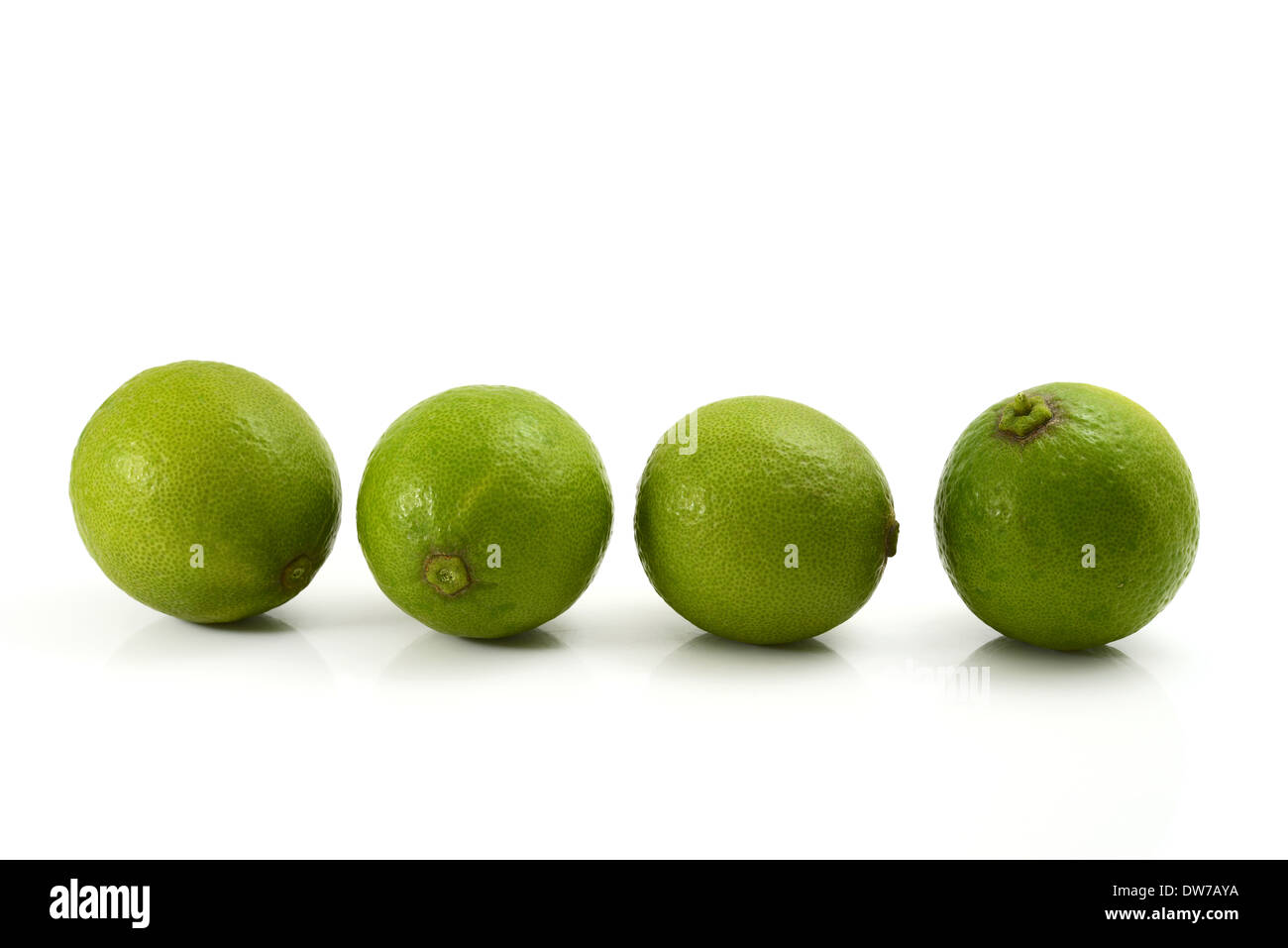 lime on white background Stock Photo Alamy