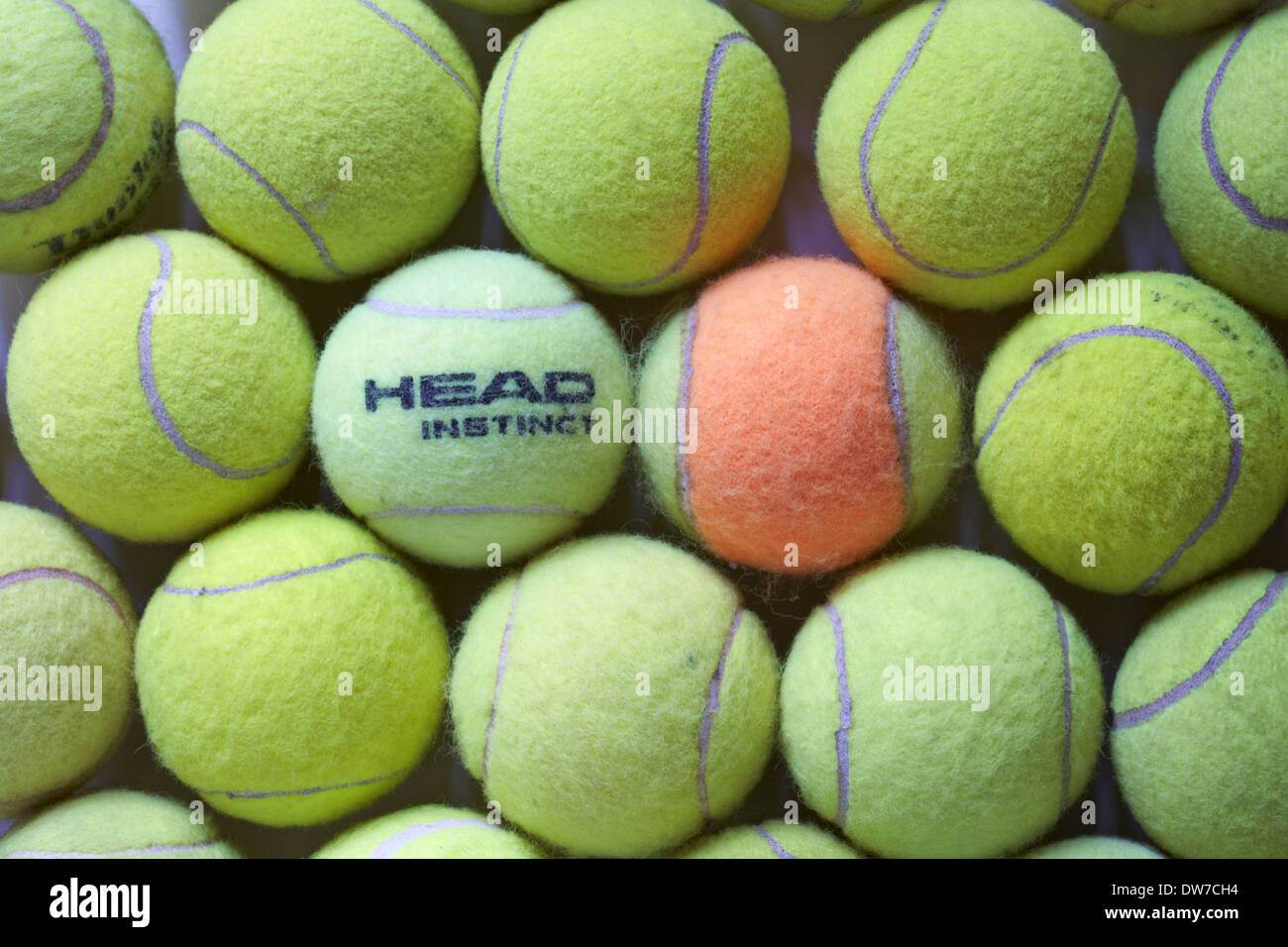 spread of tennis balls with head in amongst the others, concept of