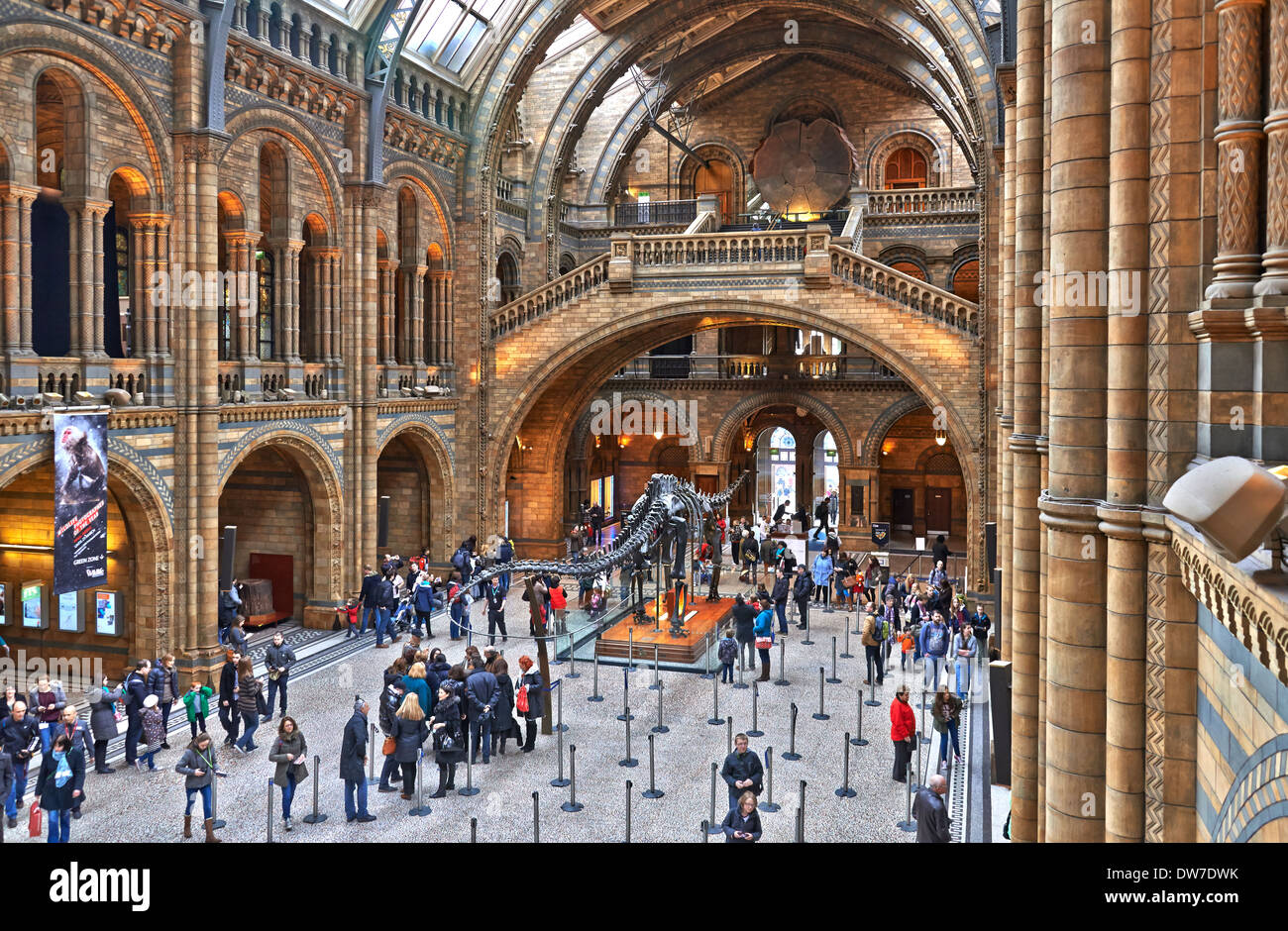 The Natural History Museum is one of three large museums on Exhibition Road, South Kensington The Natural History Museum is one of three large museums on Exhibition Road, South Kensington