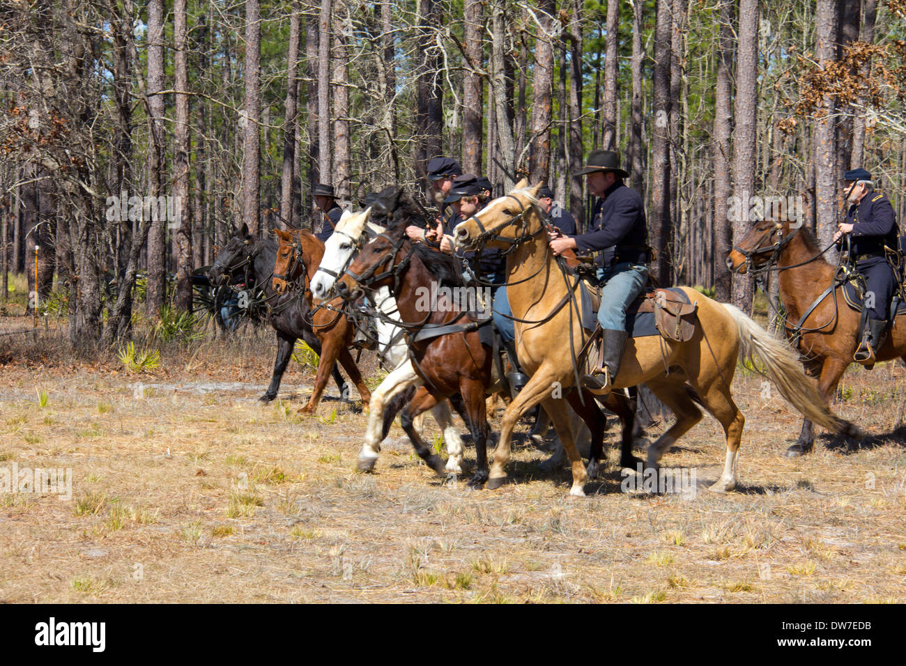 A Union cavalry unit charges Confederate ranks at Olustee Battlefield Historic State Park near Lake City, Florida, USA Stock Photo