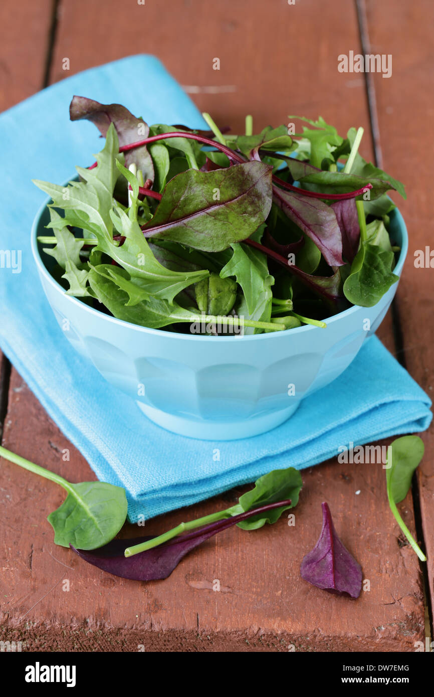 Salad mix iceberg and arugula hires stock photography and images Alamy