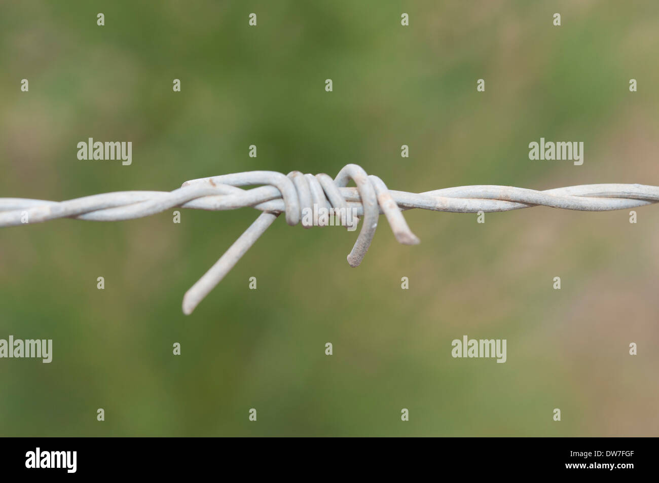 Wire Mesh with Green Background Stock Photo - Alamy