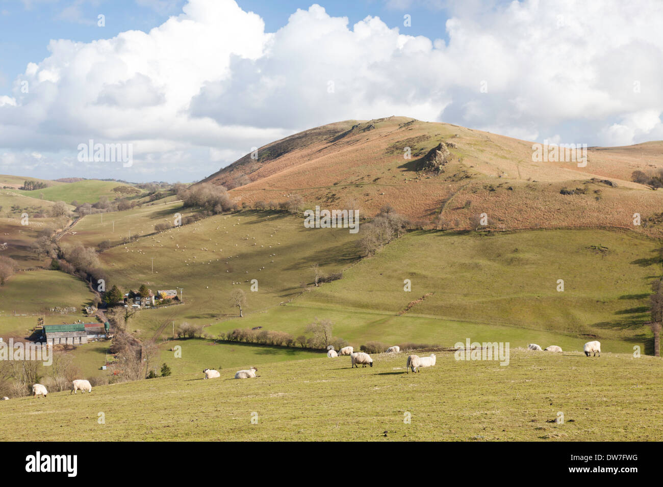 Hope bowdler hill hires stock photography and images Alamy