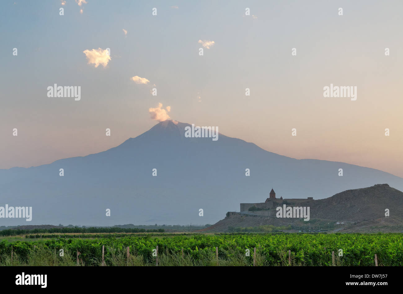 Vineyard with Khor Virap Monastery and Mount Ararat in background, Ararat valley, Armenia Stock Photo