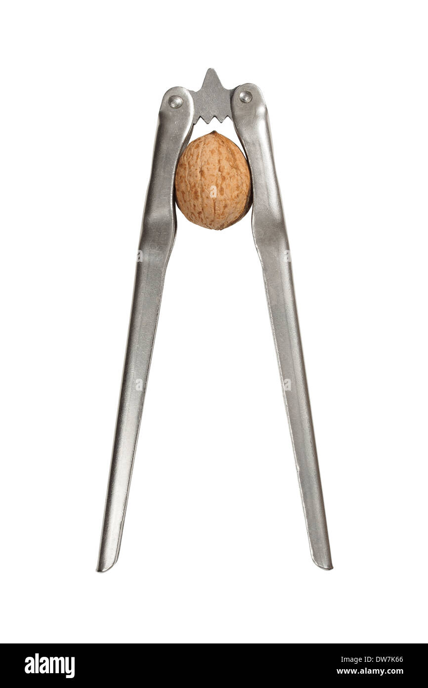 Nutcracker and nut Stock Photo Alamy