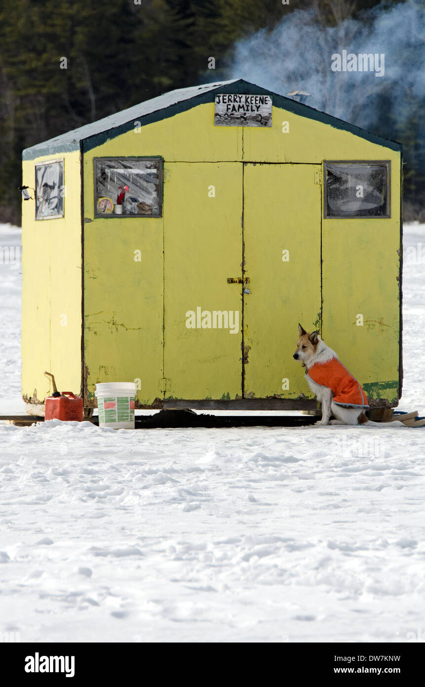Dog outside ice fishing shack on Eagle Lake, Acadia National Park, Maine Stock Photo