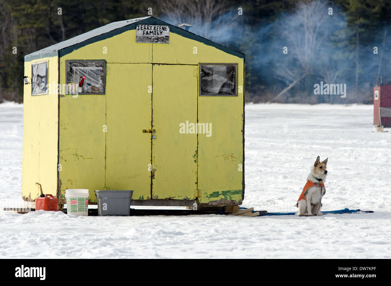 Dog waiting outside ice fishing shack on Eagle Lake, Acadia National Park, Maine Stock Photo