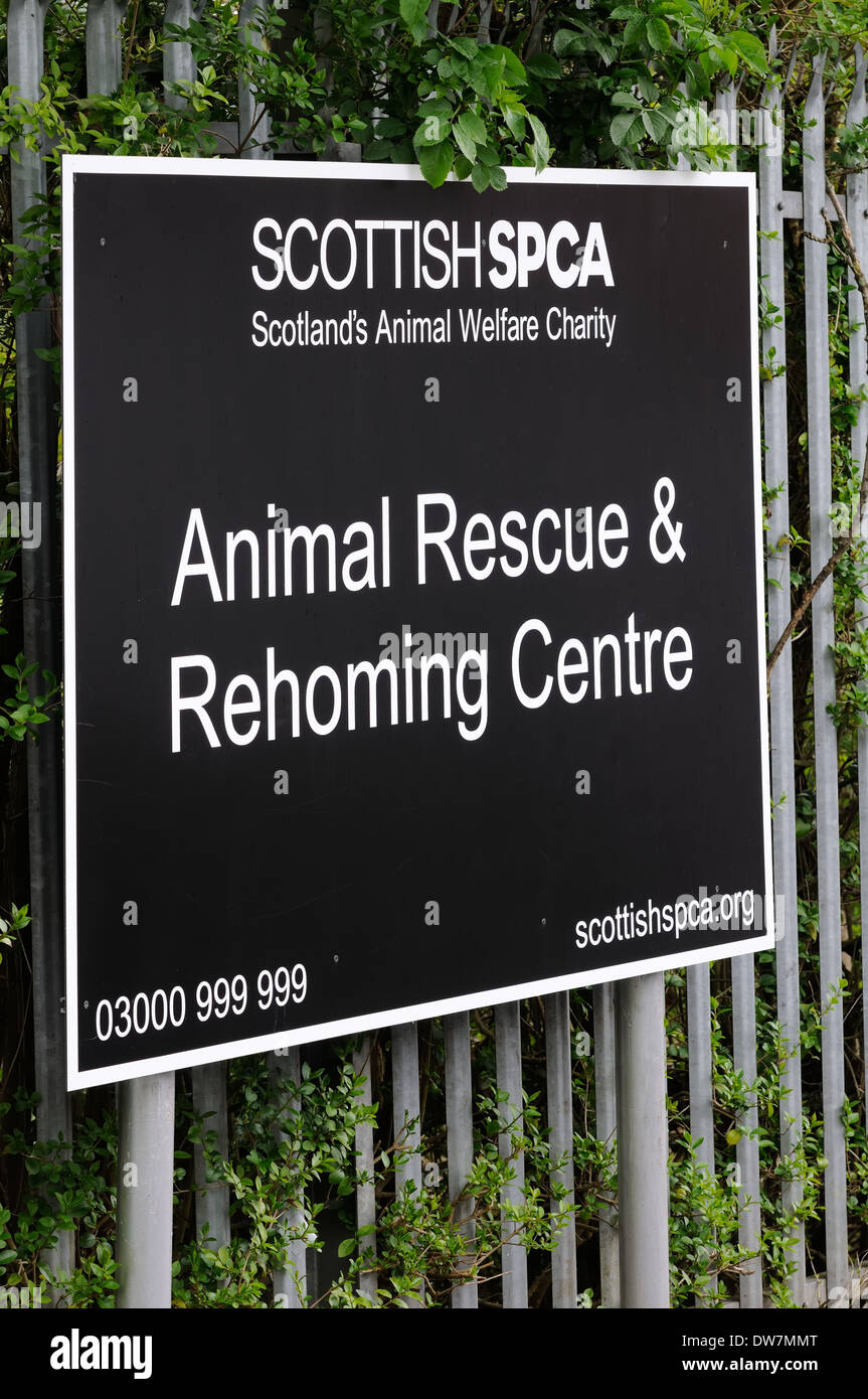 Cardonald spca hotsell