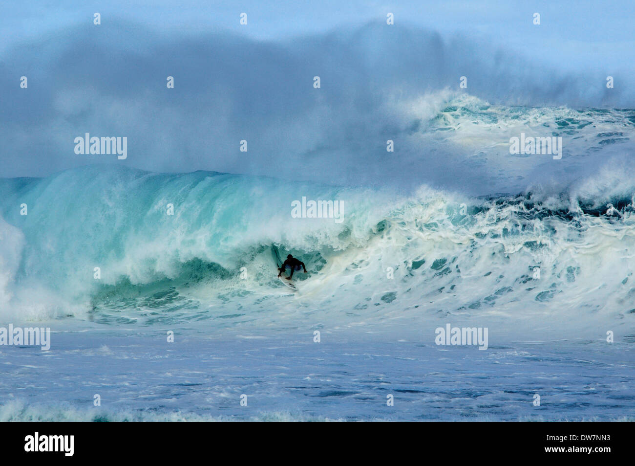 Surfer catches a big wave in Pipeline or Ehukai Beach, North Shore of