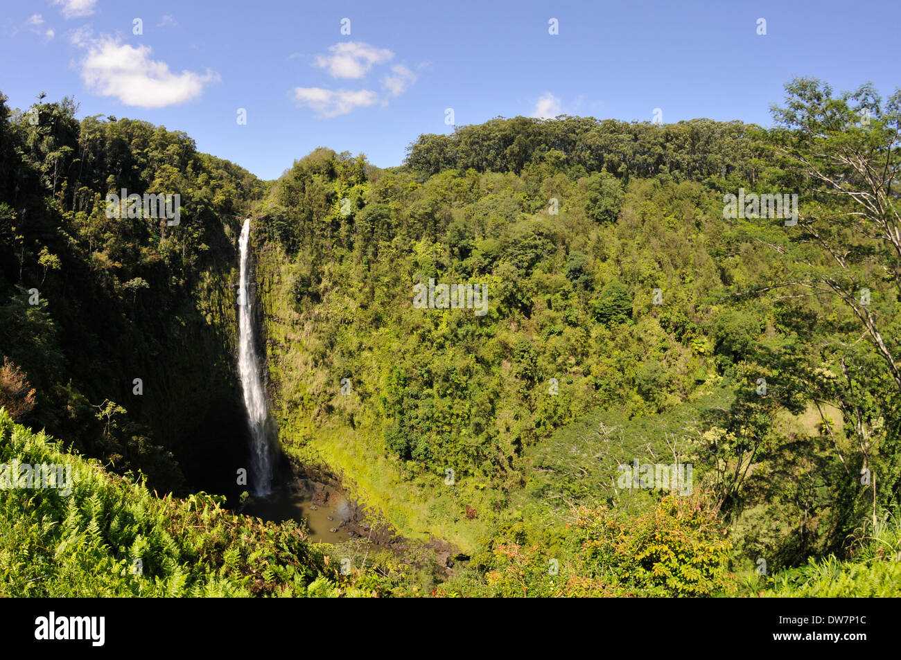 Akaka Falls in the Akaka Falls State Park, Big Island, Hawaii, USA Stock Photo