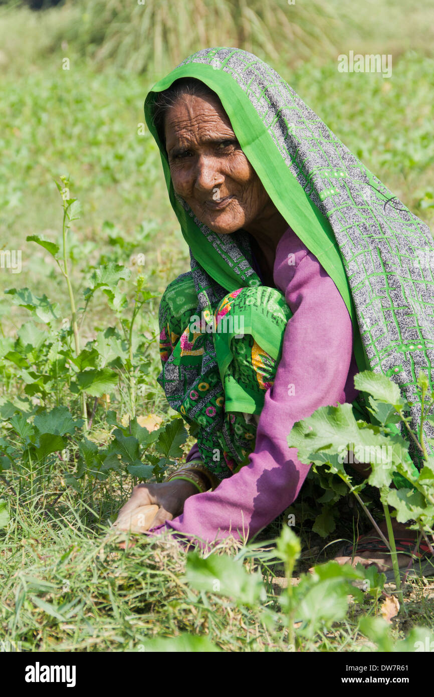 Indian woman farmer hi-res stock photography and images photo