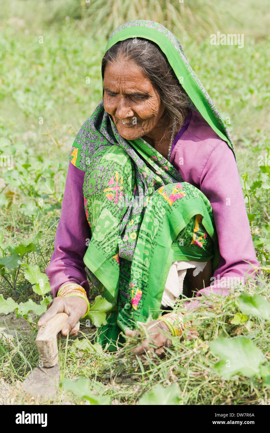 1 Indian woman working in farm Stock Photo - Alamy