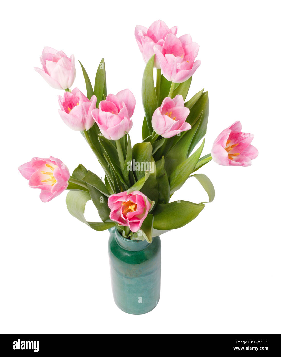 pink tulips in gree vase isolated on white background Stock Photo - Alamy