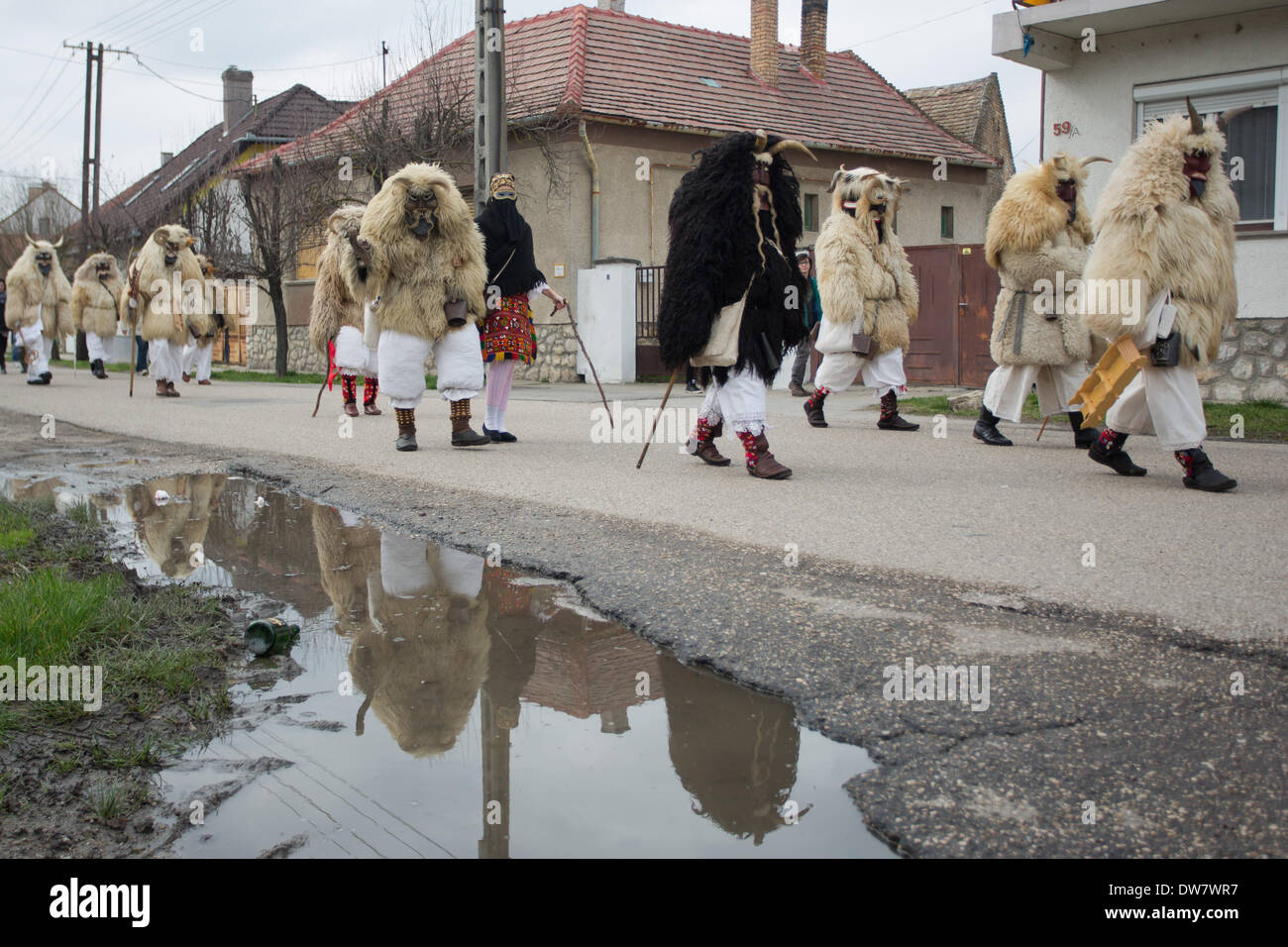 Mohacs. 2nd Mar, 2014. Masked busos (people wearing sheep fur and wooden masks) celebrate the traditional Buso Carnival in Mohacs, southern Hungary on March 2, 2014. The Buso Carnival is an annual celebration of Sokac ethnic group living in Mohacs to bid farewell to winter and welcome spring. According to legend, local people dressed up in sheep fur and wooden masks in a bid to frighten off the Turkish invaders in the 16th century. This year's carnival takes place from February 27 till March 4. Credit:  Attila Volgyi/Xinhua/Alamy Live News Stock Photo