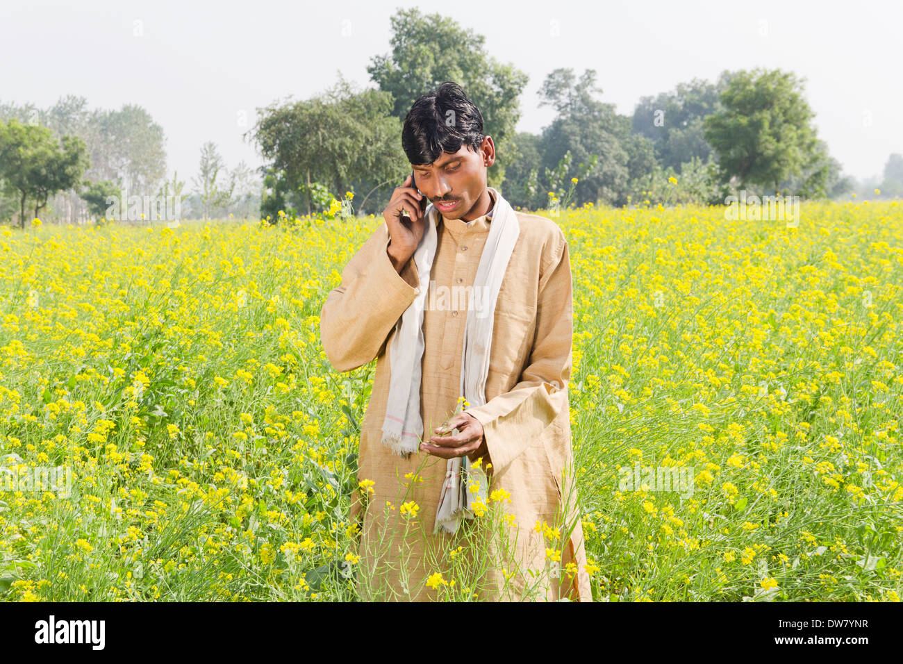 1 Indian farmer standing in farms and talking Stock Photo - Alamy