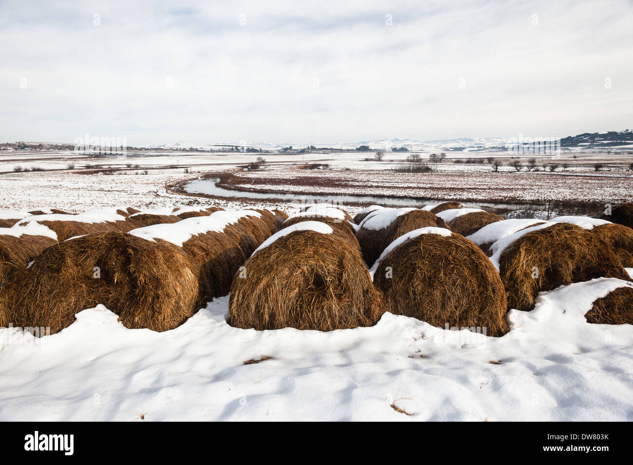 Mountains winter snow farm cattle feed grass hay bales and small winding river valley landscape