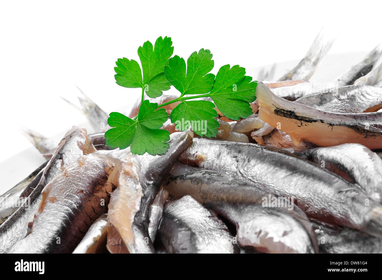 Anchovies spain hires stock photography and images Alamy