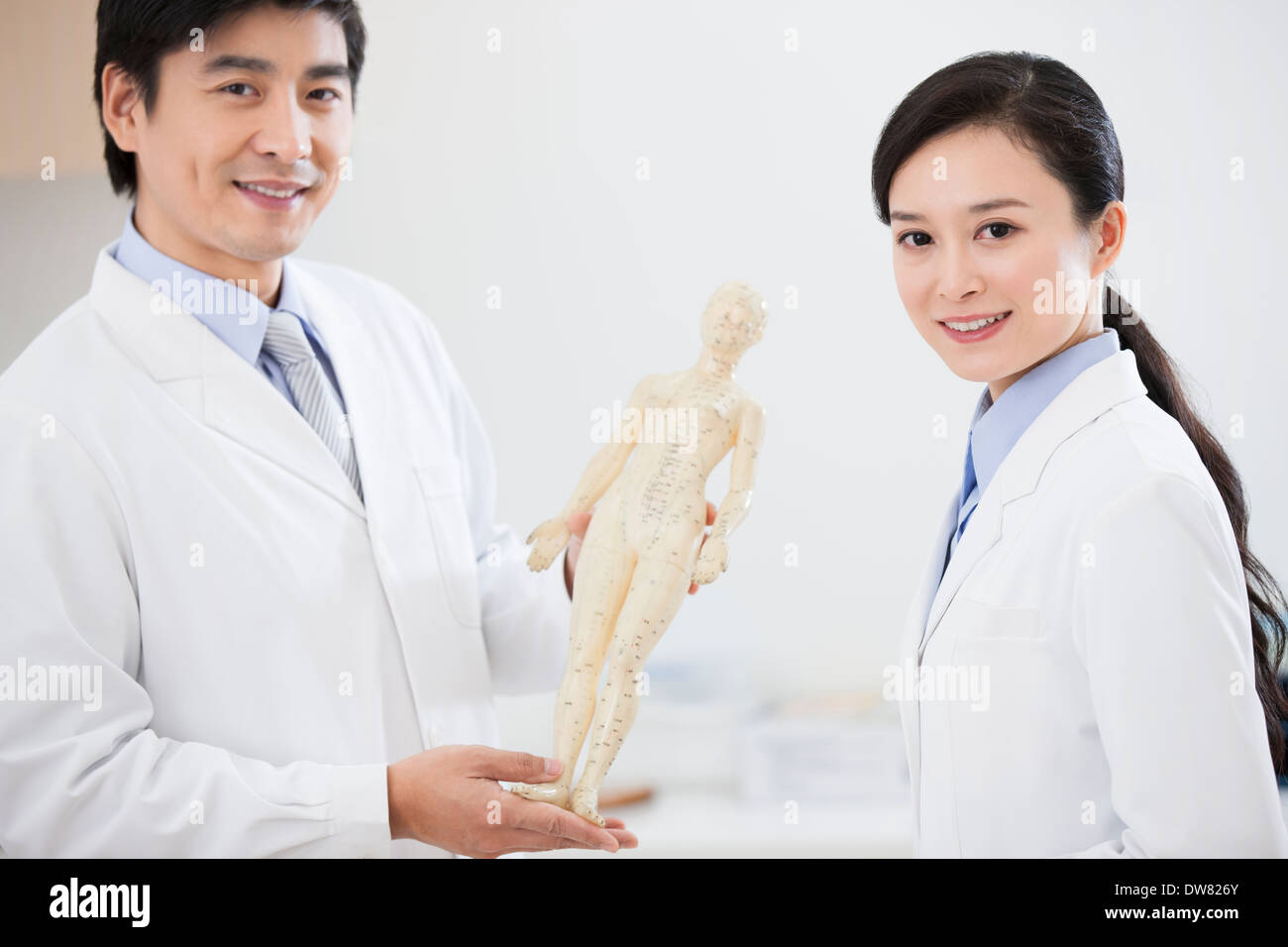 Doctors studying anatomical model Stock Photo - Alamy