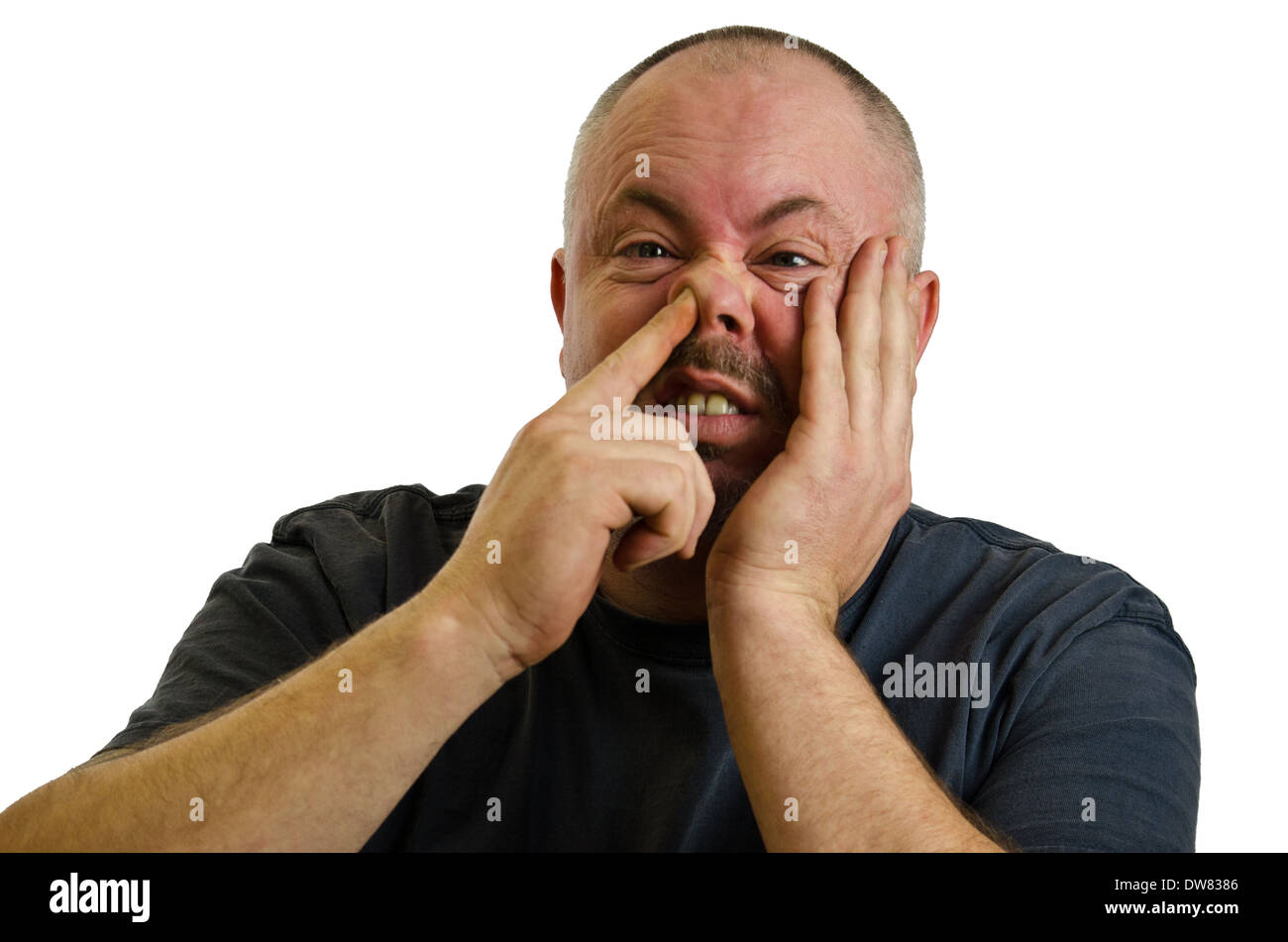 BAld headed man picking his nose Stock Photo Alamy