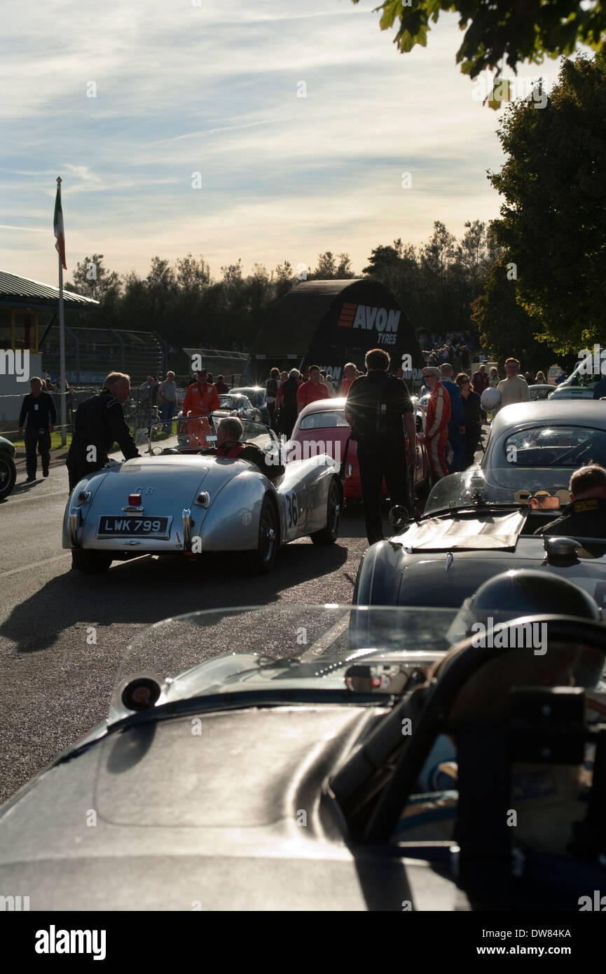 Fifties sports cars in the assembly area before taking to the track at Castle Combe, Wiltshire, England, UK. Stock Photo
